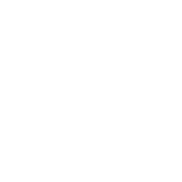 ico ram w