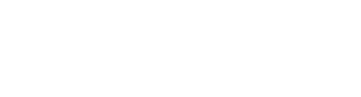 dirmeier logo2020 weiss 0001